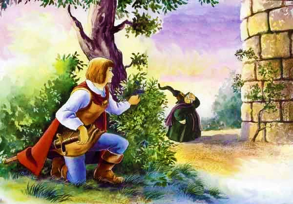 Rapunzel (Grimm's Fairy Tale) - 4